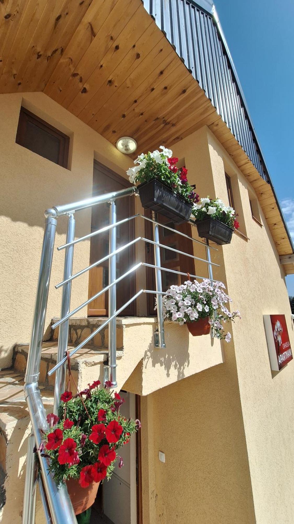 Apartments Orchidea Žabljak エクステリア 写真