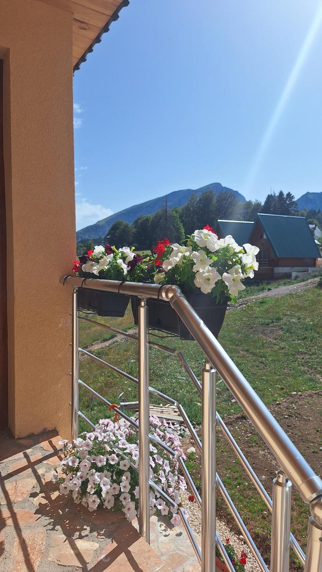 Apartments Orchidea Žabljak エクステリア 写真
